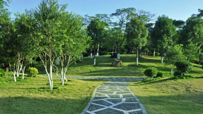 S16总决赛举办城市怎么查？主办地选择逻辑与观赛信息获取指南